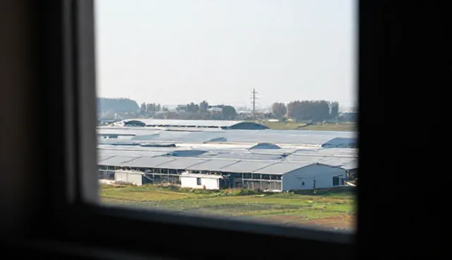 短视频运营中的使用与维护建议